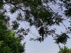 -玲珑塔公园