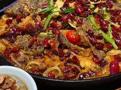 -老板恋上鱼(印象城店)