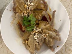 -百利鸽王(紫薇路店)