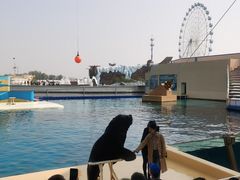 -秦皇岛乐岛海洋王国