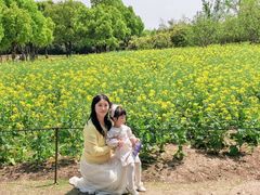 -苏州上方山国家森林公园