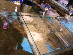 -渔公码头海货全海鲜自助(海滨旅游路店)