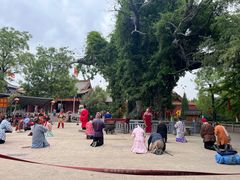 -大槐树寻根祭祖园