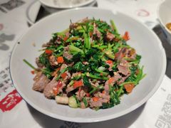 香菜炒牛肉-壹盏灯(蚂蚁工房店)