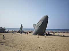 -烟台金沙滩海滨公园