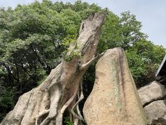 -宝岩生态观光园