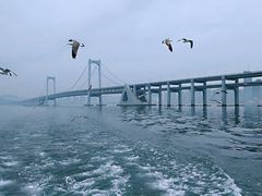 -星海湾跨海大桥