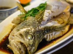 -金龙寨(解西店)