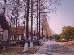 -太阳岛度假酒店