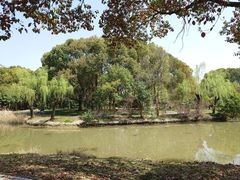 -上海中医药大学附属曙光医院(东部)