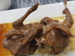 -鸽鸟轩(石岐店)