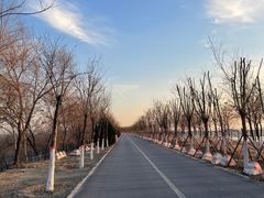 -永定河休闲森林公园