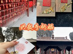 -兴教寺