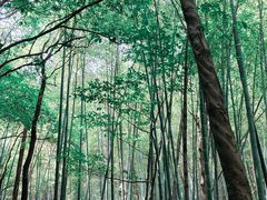 -敬亭山风景名胜区