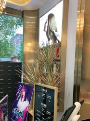 -YESIDO椰岛造型烫发染发