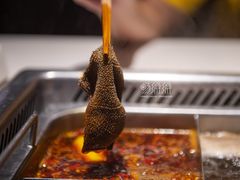 -海底捞火锅(上地华联店)