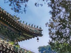 -潭柘寺景区