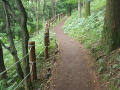 -汉拿树木园