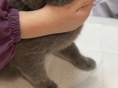 -宠爱国际动物医院·消化内科·心肾内科·ISFM猫友好(望京店)