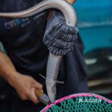 中秋节15层的阶梯烤肉来一波！