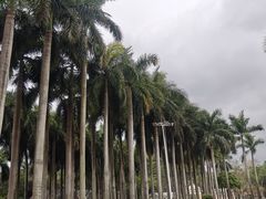 -南宁花花大世界景区
