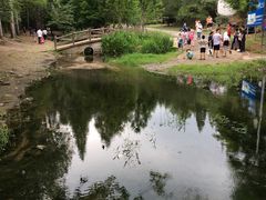 -白水寺森林公园