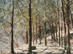 -北京鹫峰国家森林公园