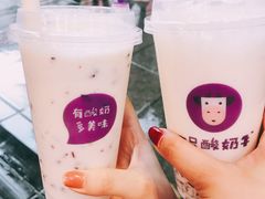 -一只酸奶牛(八一路店)
