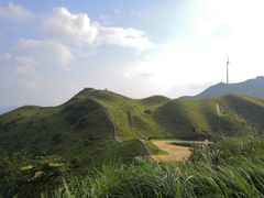 -天龙顶山地公园