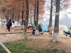 -白鹭湾湿地公园