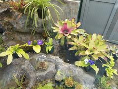 -国家植物园南园