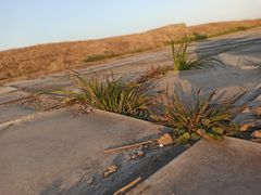 -汉长安城未央宫国家考古遗址公园