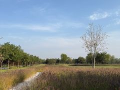 -汉长安城未央宫国家考古遗址公园