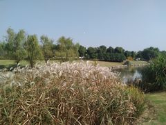 -九里河湿地公园