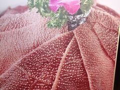 -旺晖本帮骨头煲·深夜火锅(梅园路店)