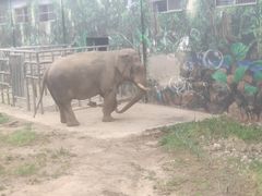 -西安秦岭野生动物园