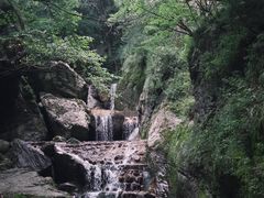 -牛背梁国家森林公园