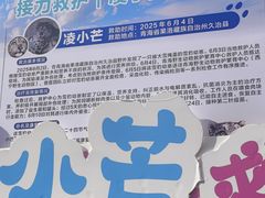 -青藏高原野生动物园