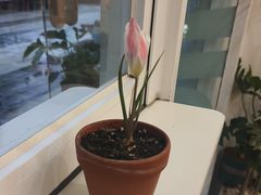 -Fulu Coffee福禄(花园城店)
