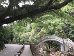 -广州市石门国家森林公园