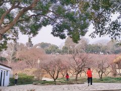 -无锡梅园公园