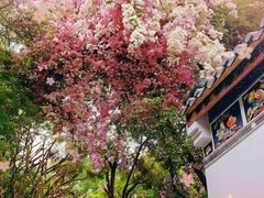 -深圳国际园林花卉博览园