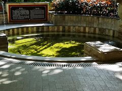 -碧水湾温泉