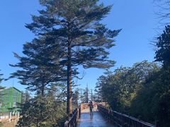 -瓦屋山景区