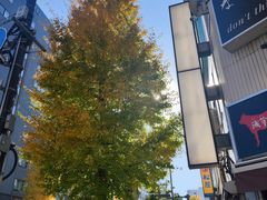 -优衣库(银座店)