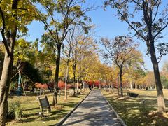 -东湖落雁景区