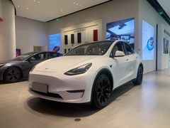 -TESLA 特斯拉(广州天环广场体验店)