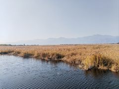 -野鸭湖国家湿地公园