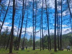 -硗碛藏寨·神木垒景区