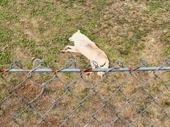 -石家庄市动物园